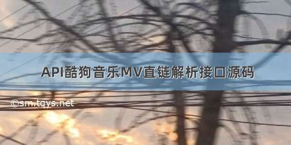  API酷狗音乐MV直链解析接口源码