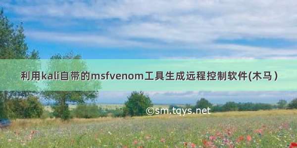 利用kali自带的msfvenom工具生成远程控制软件(木马）