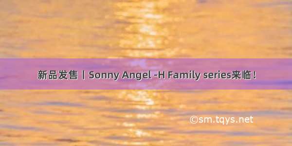 新品发售丨Sonny Angel -H Family series来临！