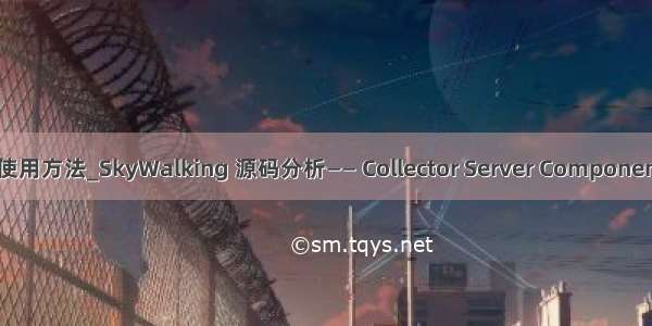 skywalking使用方法_SkyWalking 源码分析—— Collector Server Component 服务器组件