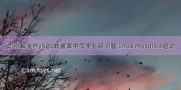 如何解决MySQL数据库中汉字乱码问题 linux mysql5.6启动