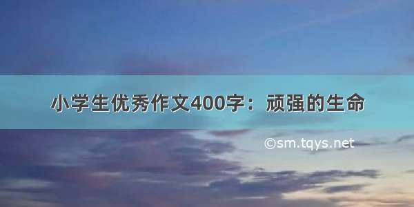 小学生优秀作文400字：顽强的生命