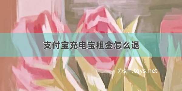 支付宝充电宝租金怎么退