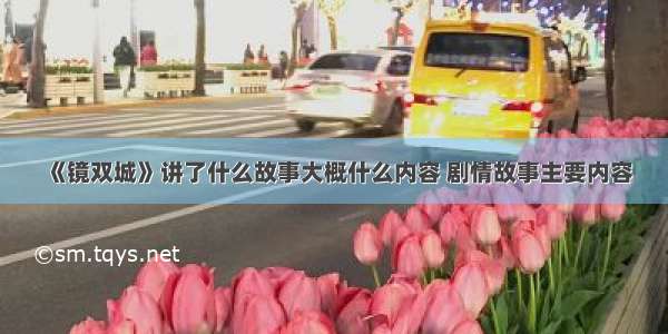 《镜双城》讲了什么故事大概什么内容 剧情故事主要内容