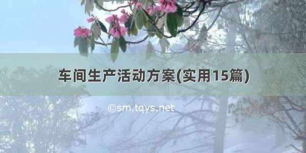 车间生产活动方案(实用15篇)