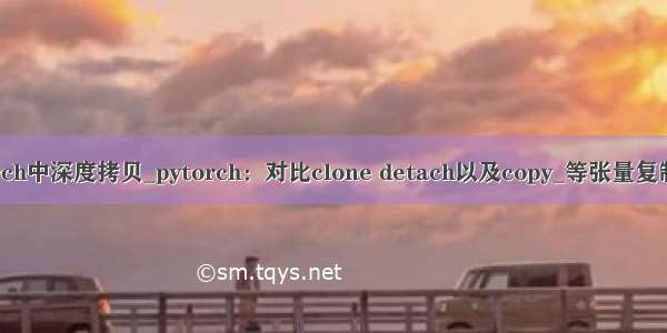 pytorch中深度拷贝_pytorch：对比clone detach以及copy_等张量复制操作