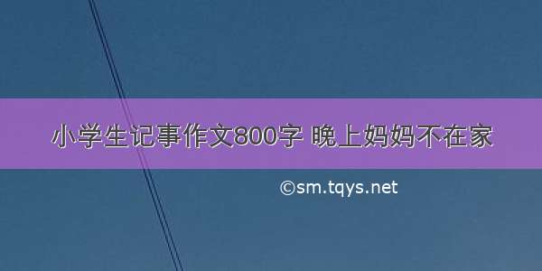 小学生记事作文800字 晚上妈妈不在家