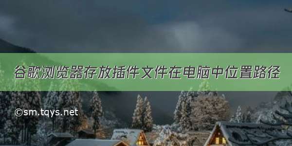 谷歌浏览器存放插件文件在电脑中位置路径