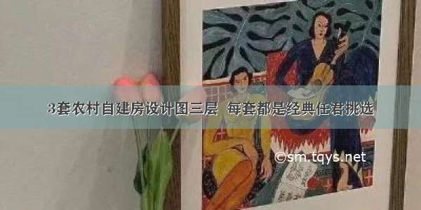 3套农村自建房设计图三层  每套都是经典任君挑选