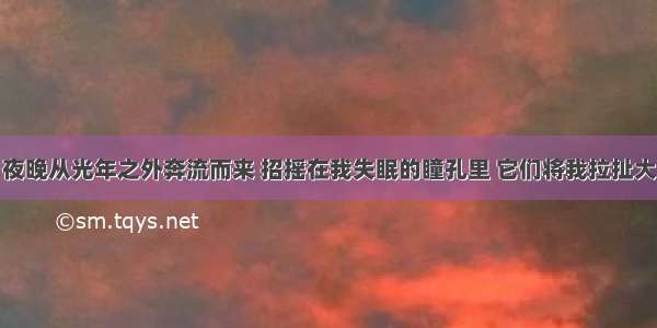 夜晚从光年之外奔流而来 招摇在我失眠的瞳孔里 它们将我拉扯大