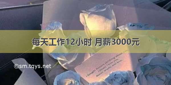 每天工作12小时 月薪3000元