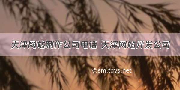 天津网站制作公司电话 天津网站开发公司