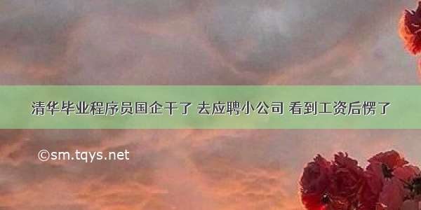 清华毕业程序员国企干了 去应聘小公司 看到工资后愣了