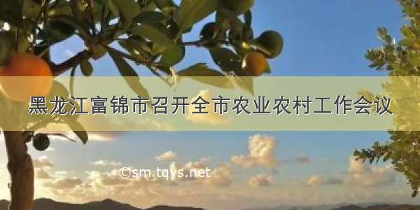 黑龙江富锦市召开全市农业农村工作会议