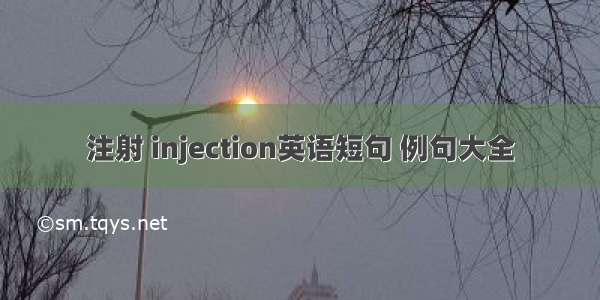 注射 injection英语短句 例句大全