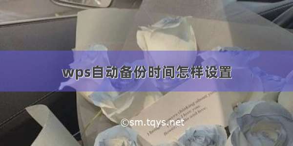 wps自动备份时间怎样设置