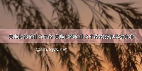 失眠多梦吃什么中药 失眠多梦吃什么中药药效果最好方法