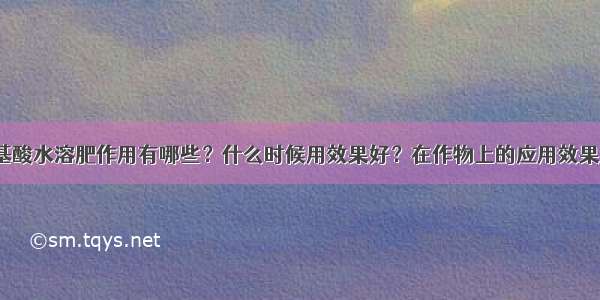 含氨基酸水溶肥作用有哪些？什么时候用效果好？在作物上的应用效果如何？