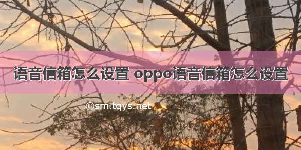 语音信箱怎么设置 oppo语音信箱怎么设置