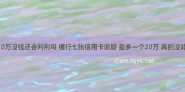 欠信用卡20万没钱还会判刑吗 银行七张信用卡逾期 最多一个20万 真的没能力还 会坐