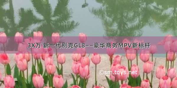 3X万 新一代别克GL8——豪华商务MPV新标杆