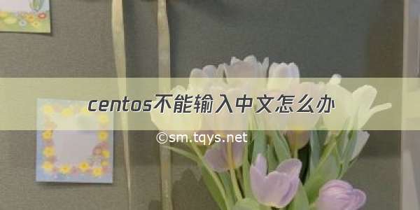 centos不能输入中文怎么办