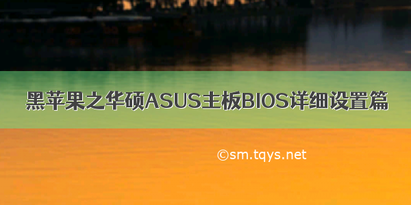 黑苹果之华硕ASUS主板BIOS详细设置篇