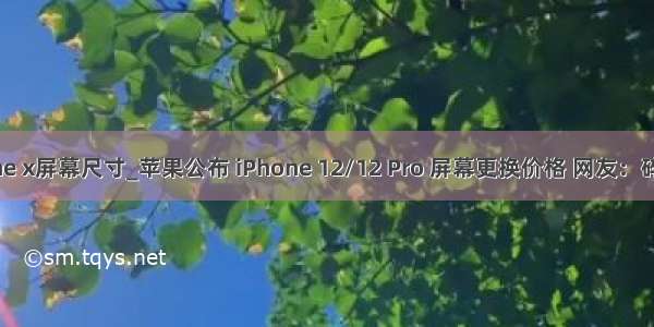 iphone x屏幕尺寸_苹果公布 iPhone 12/12 Pro 屏幕更换价格 网友：碎不起！