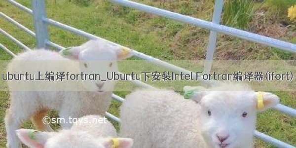 ubuntu上编译fortran_Ubuntu下安装Intel Fortran编译器(ifort)