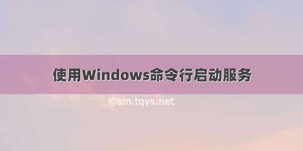 使用Windows命令行启动服务