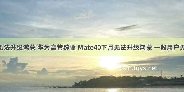 mate10无法升级鸿蒙 华为高管辟谣 Mate40下月无法升级鸿蒙 一般用户无法体验...