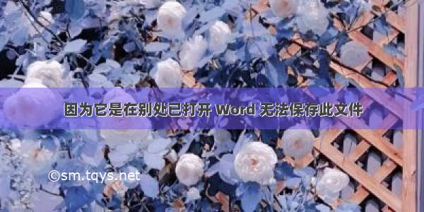 因为它是在别处已打开 Word 无法保存此文件