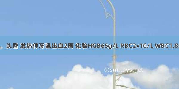 女性 32岁。头昏 发热伴牙龈出血2周 化验HGB65g/L RBC2×10/L WBC1.8×10/L PLT