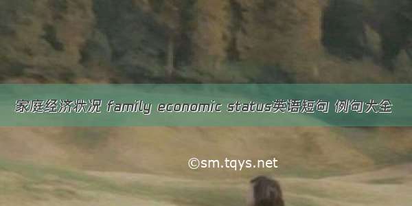 家庭经济状况 family economic status英语短句 例句大全