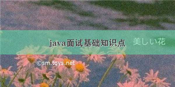 java面试基础知识点