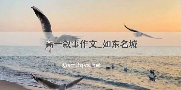 高一叙事作文_如东名城