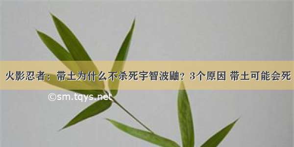 火影忍者：带土为什么不杀死宇智波鼬？3个原因 带土可能会死