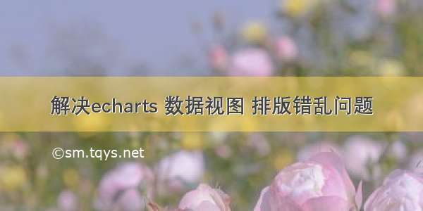 解决echarts 数据视图 排版错乱问题