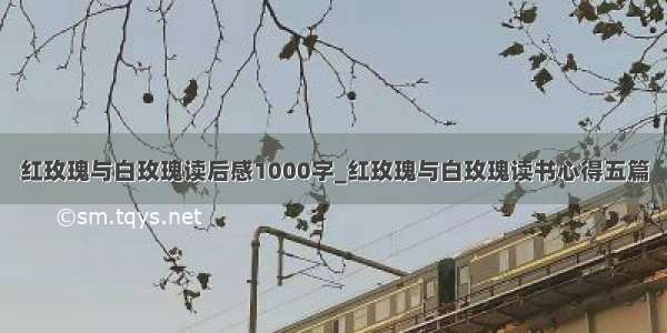 红玫瑰与白玫瑰读后感1000字_红玫瑰与白玫瑰读书心得五篇