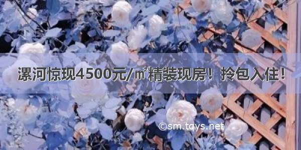 漯河惊现4500元/㎡精装现房！拎包入住！