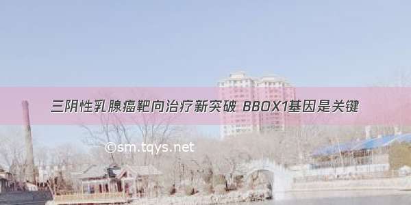 三阴性乳腺癌靶向治疗新突破 BBOX1基因是关键