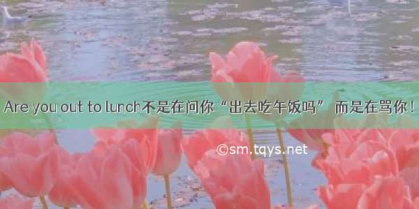 Are you out to lunch不是在问你“出去吃午饭吗” 而是在骂你！