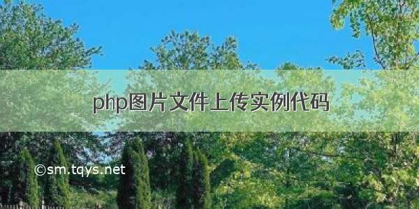 php图片文件上传实例代码