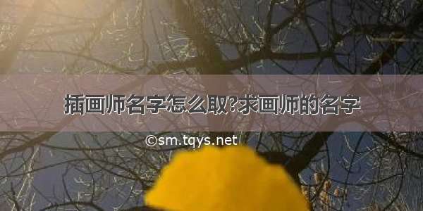 插画师名字怎么取?求画师的名字