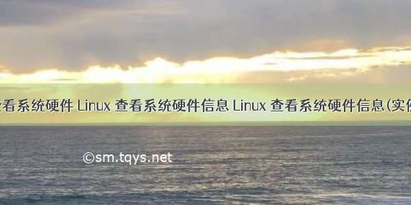 linux下查看系统硬件 Linux 查看系统硬件信息 Linux 查看系统硬件信息(实例详解)...