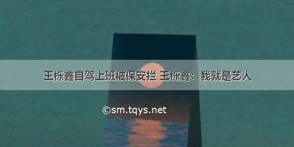 王栎鑫自驾上班被保安拦 王栎鑫：我就是艺人