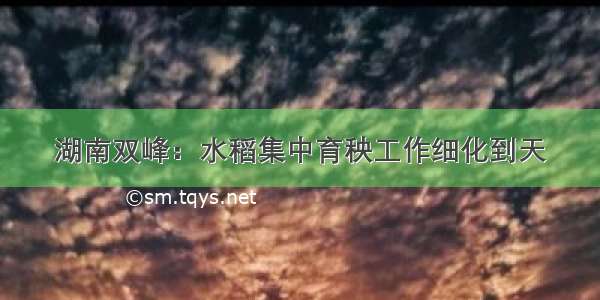 湖南双峰：水稻集中育秧工作细化到天