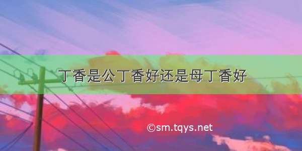 丁香是公丁香好还是母丁香好