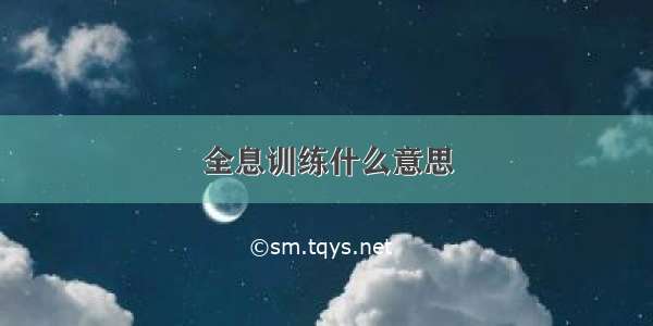 全息训练什么意思