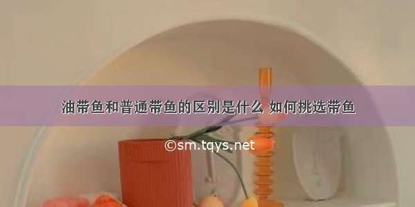 油带鱼和普通带鱼的区别是什么 如何挑选带鱼